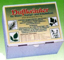 Duftkräuter Minze 