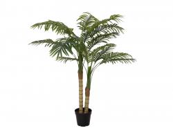 Areca Palme 120 cm 