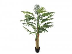 Areca Palme 150 cm 